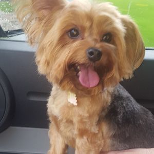 Meet your Posher, Candy